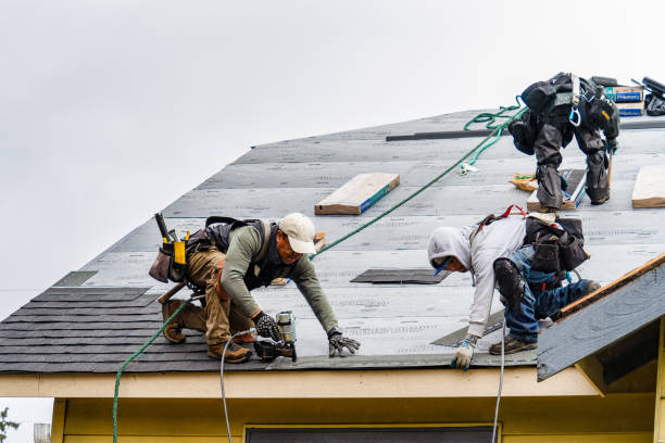 Professional Storm Damage Roof Repair technician working in Belgium, WI